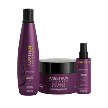 Kit No Frizz System Aneethun