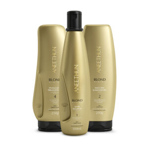 Kit de Manutenção Dia a Dia Blond System